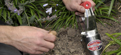 How to Bulb Planters Spear and Jackson